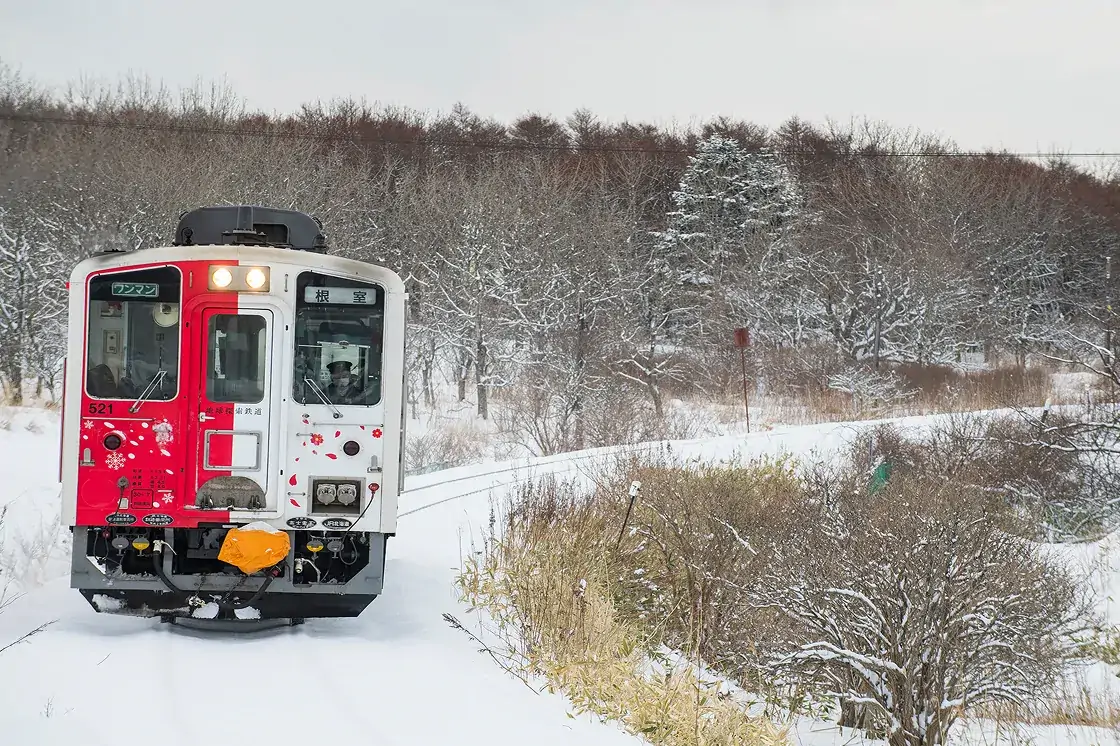 花咲線ラッピングトレイン02