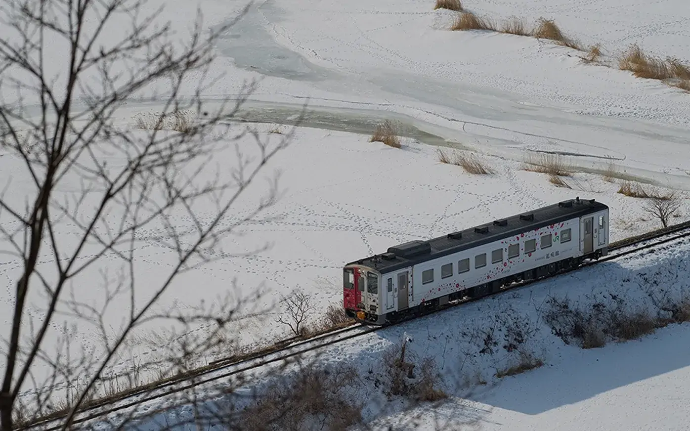 花咲線ラッピングトレイン02