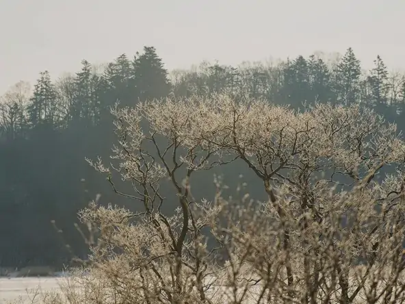 厚岸町　別寒辺牛湿原