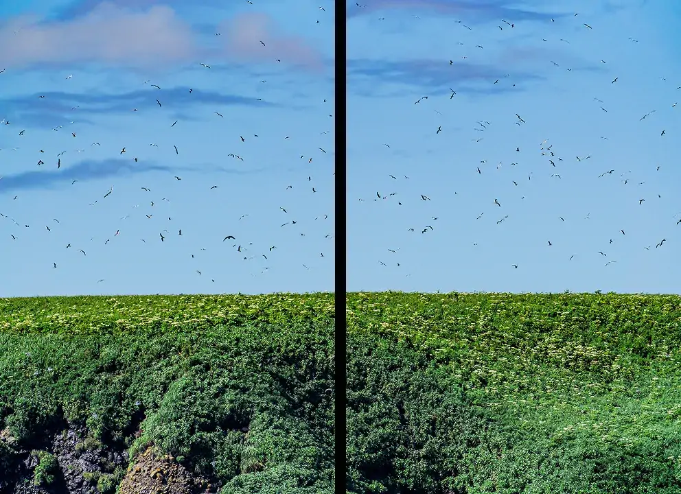 落石沖_ユルリ島