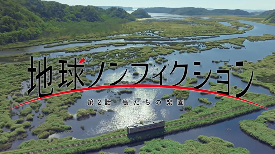 [第2話]　鳥たちの楽園